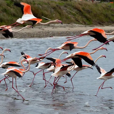 Bed & Breakfast Casa Isotta Quartu SantʼElena