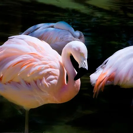 Casa Isotta Bed & Breakfast